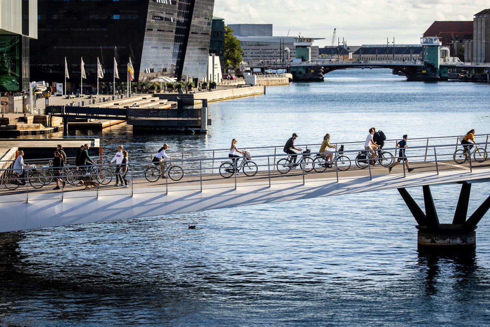 Stigende indbyggertal vigtigt for ejendomsbranchen